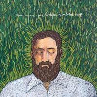 Iron And Wine Our Endless Numbered Days (LP)