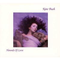 I-Di Hounds Of Love (2018 Remaster)