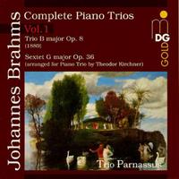 Brahms: Complete Piano Trios, Vol. 1