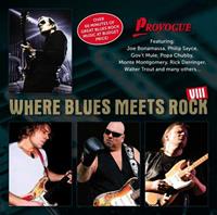 Where Blues Meets Rock VIII