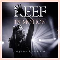 Reef In Motion (Live From Hammersmith)