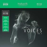 Great Voices Vol.3 (2LP)