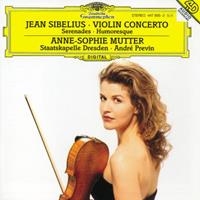 Universal Music Vertrieb - A Division of Universal Music Gmb Violinkonzert D-moll/Serenaden