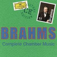 Johannes Brahms Komplette Kammermusik (GA)
