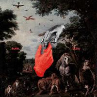 Mute Burn Slow - Chris Liebing