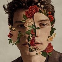 Universal Music Shawn Mendes