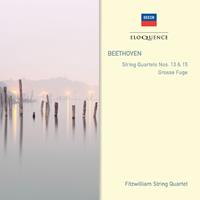 Fitzwilliam String Quartet Streichquartette 13+15/Grosse Fuge