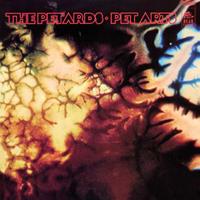 The Petards - Pet Arts (2-LP)
