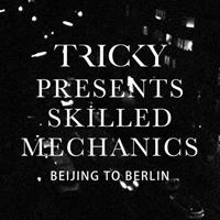 Tricky, Skilled Mechanics Beijing To Berlin