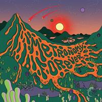 Universal Music Vertrieb - A Division of Universal Music Gmb Metronomy Forever (Digi)