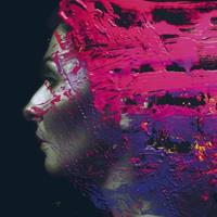 Hand. Cannot. Erase, 1 Audio-CD + 1 Blu-ray-Audio (Deluxe-Edition)