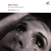 Marc Chan: My Wounded Head 3