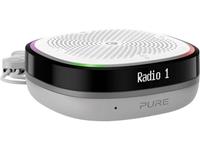 pure StreamR Splash Sprachgesteuerter Lautsprecher FM Radio, Outdoor, Wasserfest, WLAN Grau