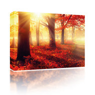 Sound Art Canvas + Bluetooth Speaker Forest In Autumn Sun