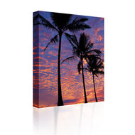 Sound Art Canvas + Bluetooth Speaker Palm Trees At Sunset