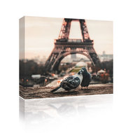 Sound Art Canvas + Bluetooth Speaker Pigeons And Eiffel Tower