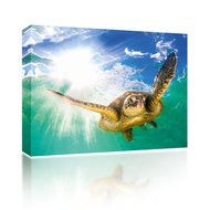 Sound Art Canvas + Bluetooth Speaker Turtle In Sea
