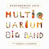 GoodToGo Remembering Jaco feat. Bireli Lagrene 1 Audio-CD
