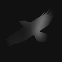 Warner Music Group Germany Hol / Krunk Odins Raven Magic