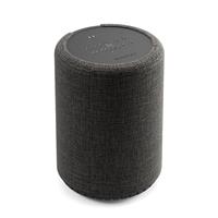 Audio Pro - G10 Multiroom Speaker - Dark Grey