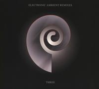 ROUGH TRADE / MUTE Electronic Ambient Remixes Vol.3