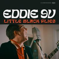 In-akustik GmbH & Co. KG / RUF RECORDS Little Black Flies