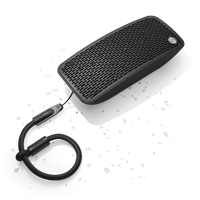 Audio Pro P5 Portable Travel Speaker