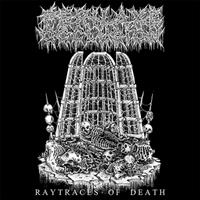 375 Media GmbH / ROTTED LIFE / CARGO Raytraces Of Death