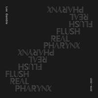 375 Media GmbH / HYPERDUB / CARGO Flush Real Pharynx 2019-2021