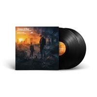 Sony Music Entertainment Germany GmbH / München It'll All Make Sense In The End (2x 140g black)