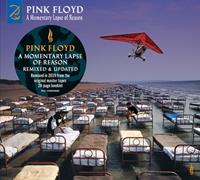 Pink Floyd - A Momentary Lapse Of Reason (2LP)