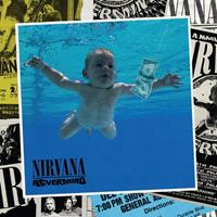 fiftiesstore Nirvana - Never Mind 30e Jubileum Editie 8-LP + 1 Single Box Set - Beperkte Oplage