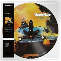 Warner Music Group Germany Hol / BMG/Sanctuary Salisbury (Limited Edition Picture Disc)