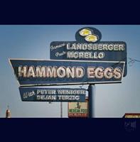 In-Akustik / Ballrechten-Dottingen Hammond Eggs