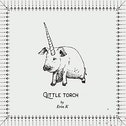 Erin K - Little Torch CD