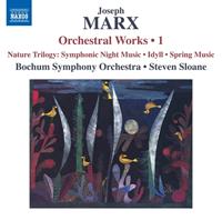 Naxos Deutschland Musik & Video Vertriebs-GmbH / Poing Orchesterwerke Vol.1