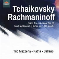 Naxos Deutschland Musik & Video Vertriebs-GmbH / Poing Tschaikowski: Klaviertrio op.50