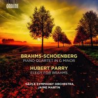 Naxos Deutschland Musik & Video Vertriebs-GmbH / Poing Klavierquartett in g-moll/Elegy for Brahms