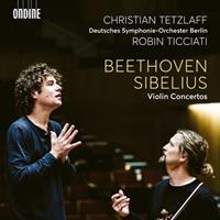 Naxos Deutschland Musik & Video Vertriebs-GmbH / Poing Beethoven & Sibelius: Violinkonzerte