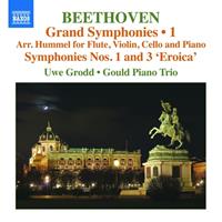 Naxos Deutschland Musik & Video Vertriebs-GmbH / Poing Grand SymphoniesVol.1