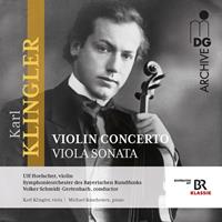 Naxos Deutschland Musik & Video Vertriebs-GmbH / Poing Violin Concerto Viola Sonata