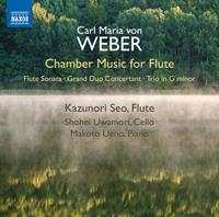 Naxos Deutschland Musik & Video Vertriebs-GmbH / Poing Chamber Music for Flute