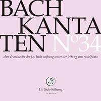 Naxos Deutschland Musik & Video Vertriebs-GmbH / Poing Kantaten Noø34