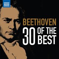 Naxos Deutschland Musik & Video Vertriebs-GmbH / Poing Beethoven: 30 of the Beethoven