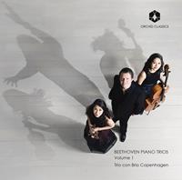 Naxos Deutschland Musik & Video Vertriebs-GmbH / Poing Beethoven Klaviertrios Vol.1