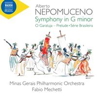 Naxos Deutschland Musik & Video Vertriebs-GmbH / Poing Symphonie in g minor