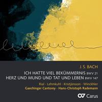 Note 1 music gmbh / Heidelberg Kantaten-Ich hatte viel Bekümmernis BWV 21/+