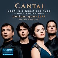 Naxos Deutschland Musik & Video Vertriebs-GmbH / Poing Cantai/Bach die Kunst der Fuge