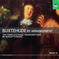 Naxos Deutschland Musik & Video Vertriebs-GmbH / Poing Buxtehude by Arrangement