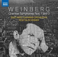 Naxos Deutschland Musik & Video Vertriebs-GmbH / Poing Chamber Sinfonien 1 and 3